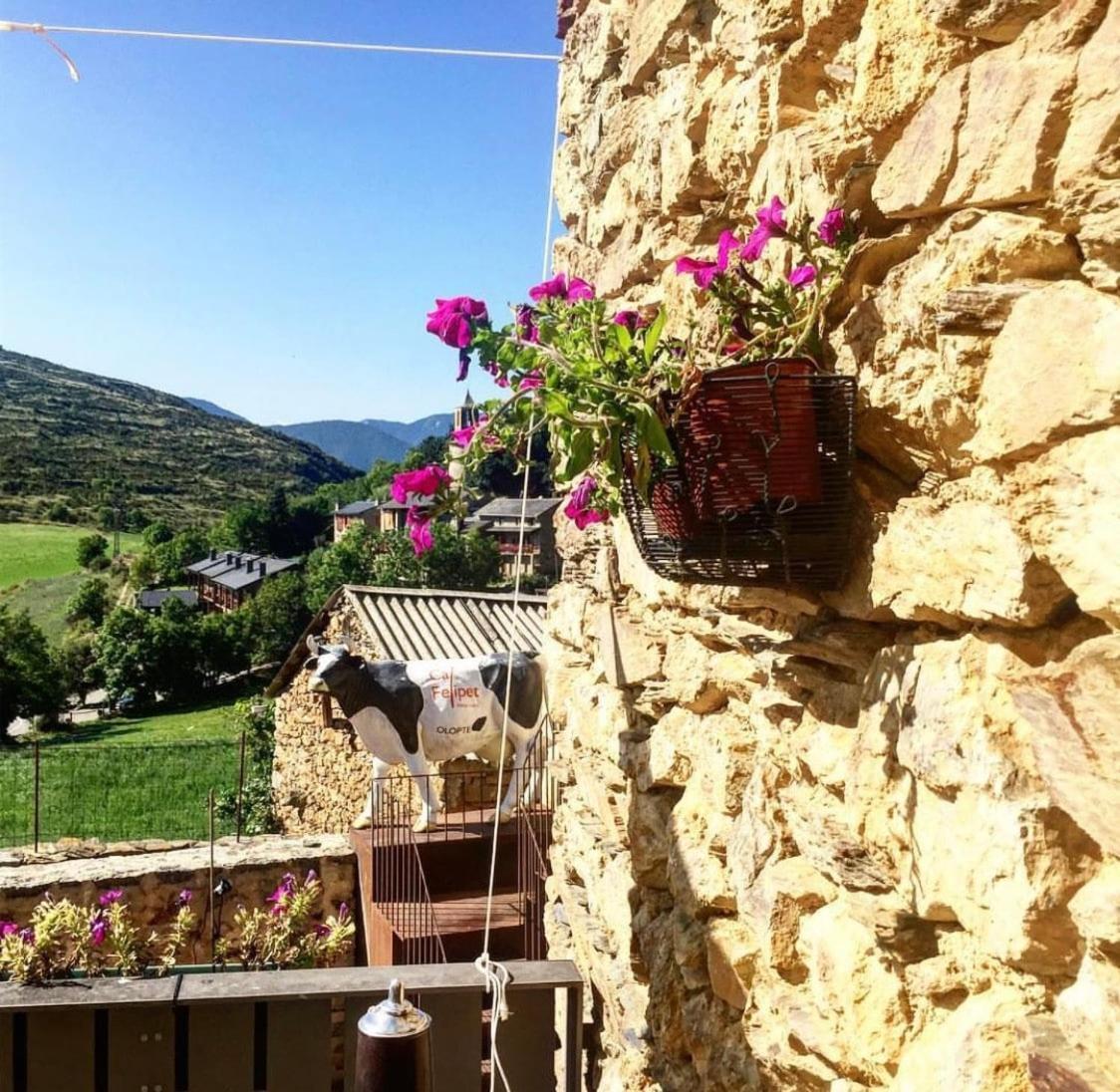 Preciosa Casa Rural Cal Felipet En Olopte-Cerdanya Dış mekan fotoğraf